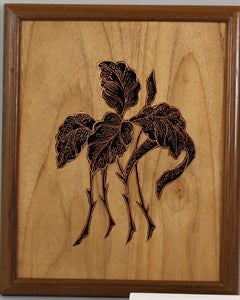 Image description is not available for DU2010.5.198